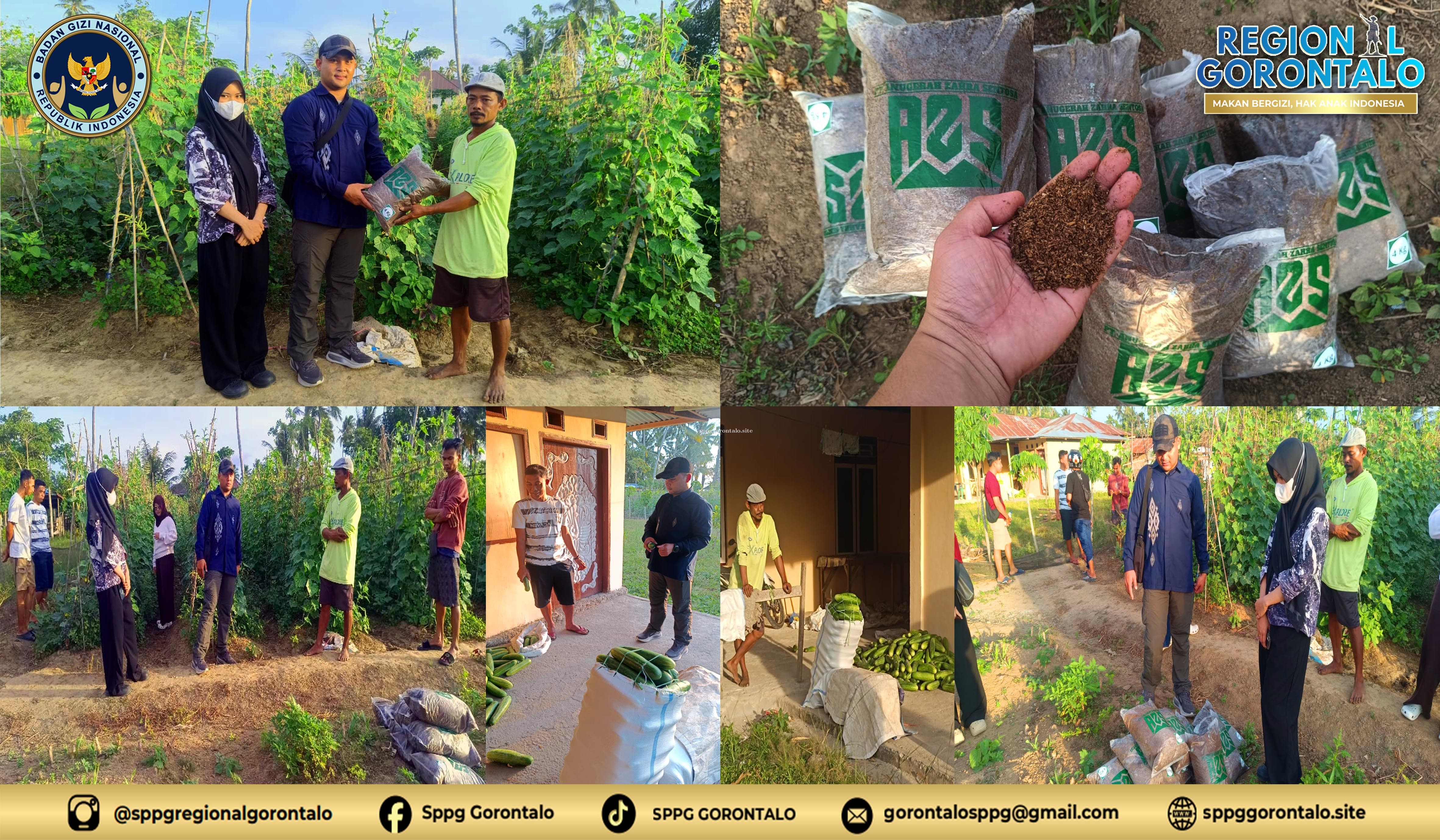 BGN Regional Gorontalo Manfaatkan Limbah Organik SPPG Menjadi Pakan Ternak dan Pupuk Kompos, Dukung Pertanian Berkelanjutan